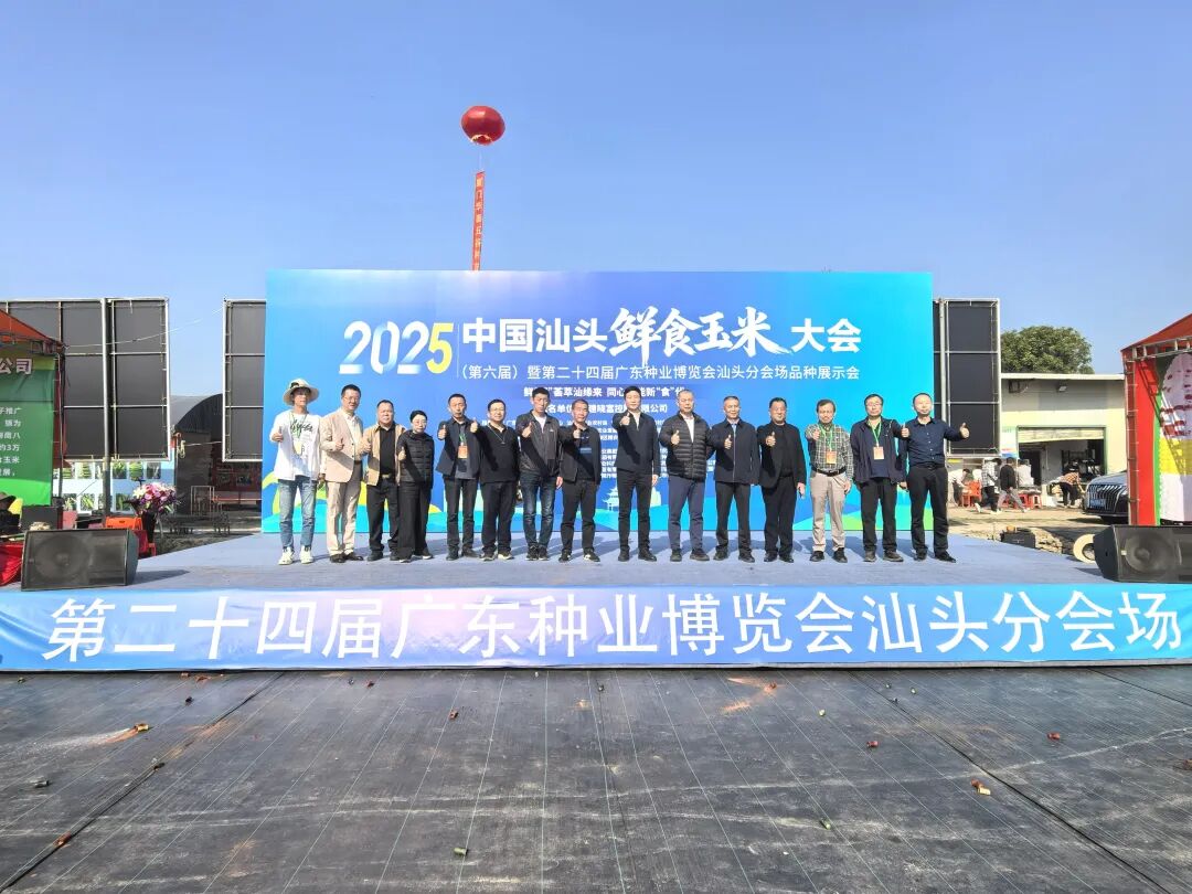 26個鮮食玉米品種獲推介！汕頭分會場圓滿落幕